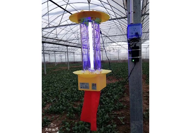 1653466140464937.jpg 1-200402113RRK.jpg