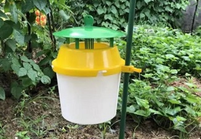 1654156897957985.jpg 1-19121315154B59.jpg