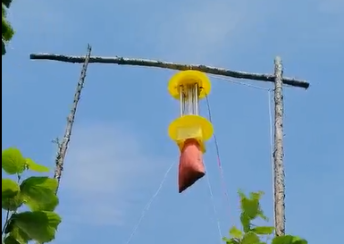 視頻展示太陽能殺蟲燈殺蟲效果，真的牛