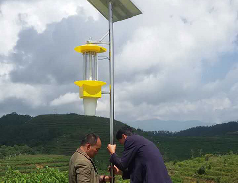 殺蟲燈在烤煙行業中的應用效果對比分析