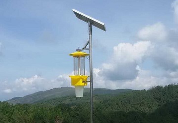 云飛太陽能殺蟲燈落地中國向日葵之鄉