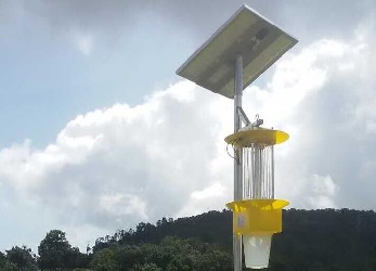 云飛太陽能殺蟲燈走進中國香蕉之鄉浦北縣