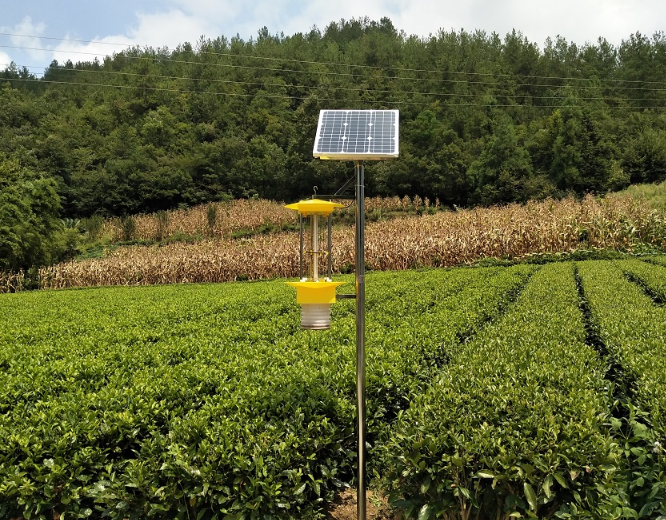 云飛自動清蟲太陽能殺蟲燈