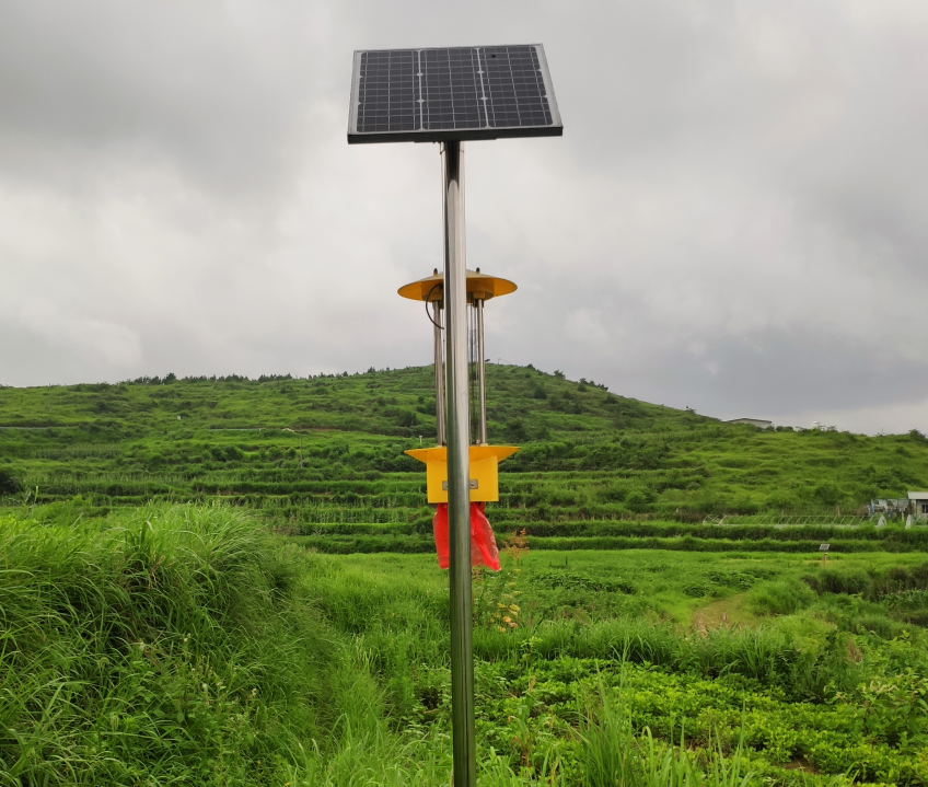 云飛太陽能殺蟲燈